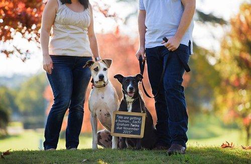 mobile - carousel-hero-element image-9