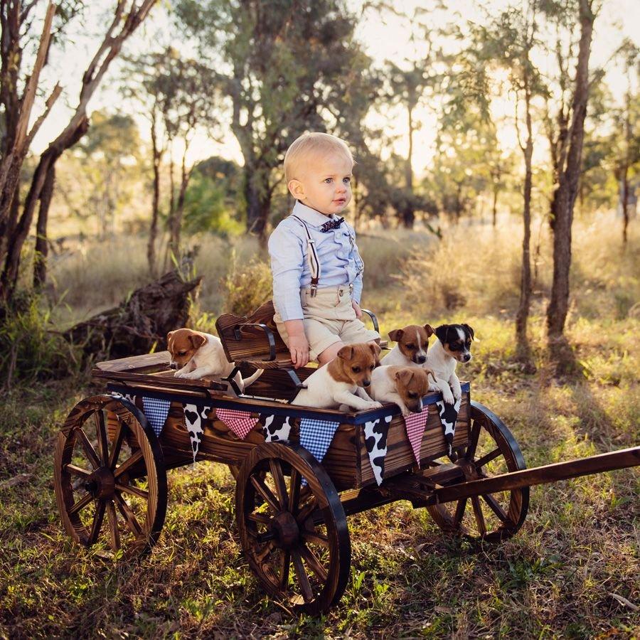 carousel-hero-element image-5