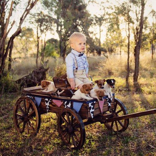 mobile - carousel-hero-element image-5